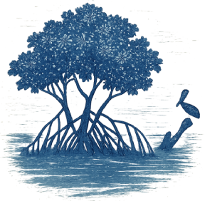 Mangrove Haven at Sunrise